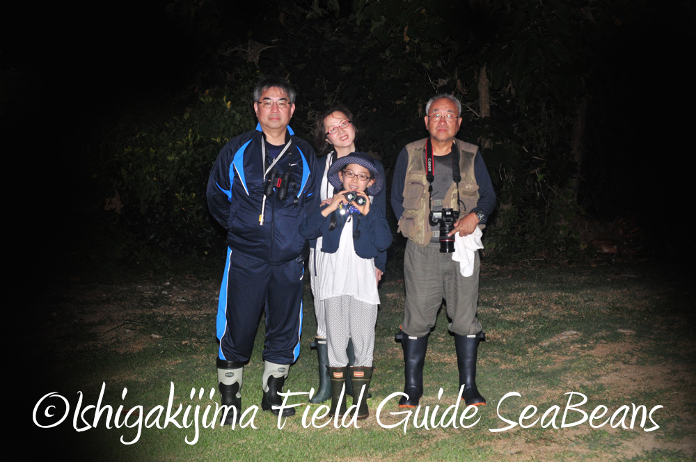 石垣島の夜の生き物探しと自然観察！！楽しいナイトツアー。
