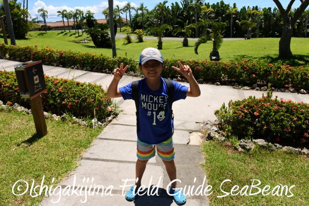 7.23.24小浜島 はいむるぶし 夏休み旅行11