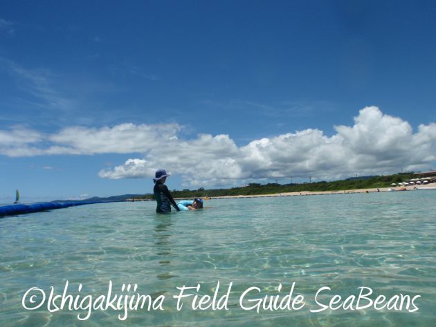 7.23.24小浜島 はいむるぶし 夏休み旅行8