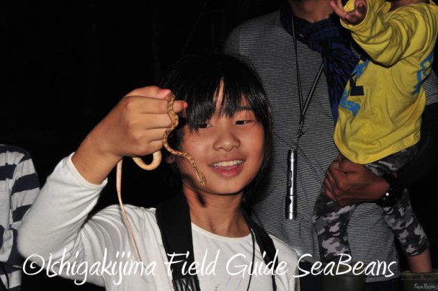 7月30日 石垣島ナイトツアー14