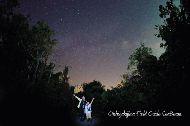 7月25日 石垣島 ナイトツアー 生き物探し22