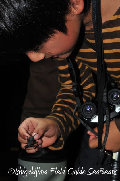 7月30日 石垣島ナイトツアー4