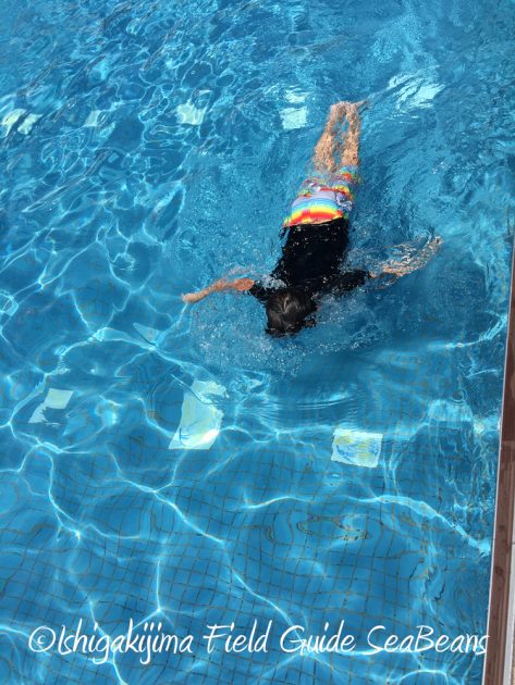 7.23.24小浜島 はいむるぶし 夏休み旅行10