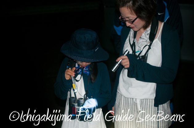 7.20石垣島 ナイトツアー10