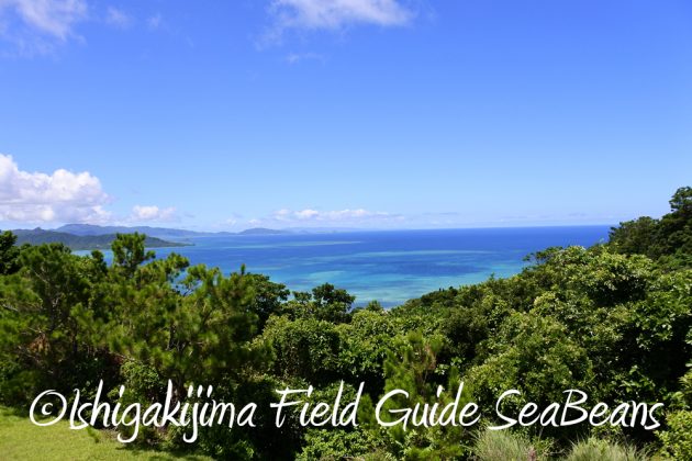 721石垣島の風景2