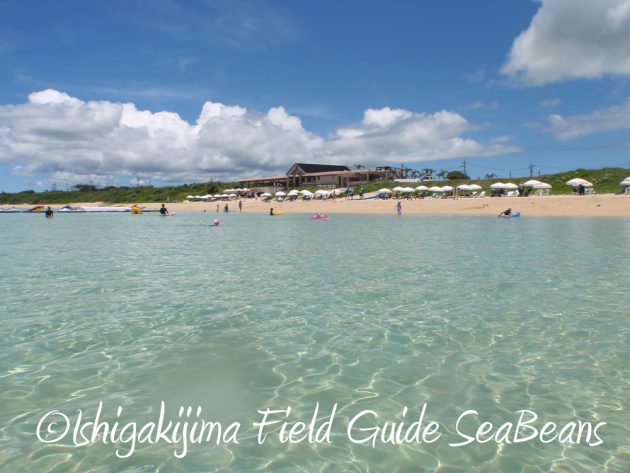 7.23.24小浜島 はいむるぶし 夏休み旅行6