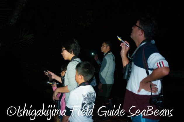 7.22-石垣島-ナイトツアー5