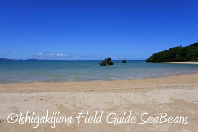 721石垣島の風景3