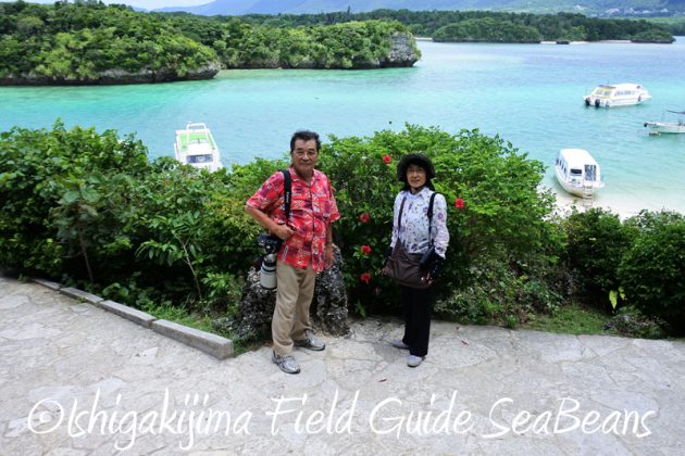 8月11日石垣島バードウオッチング＆野鳥撮影16