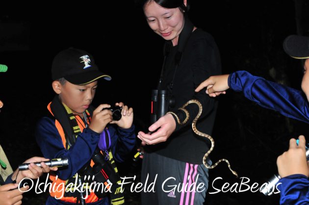 8月9日石垣島ナイトツアー7