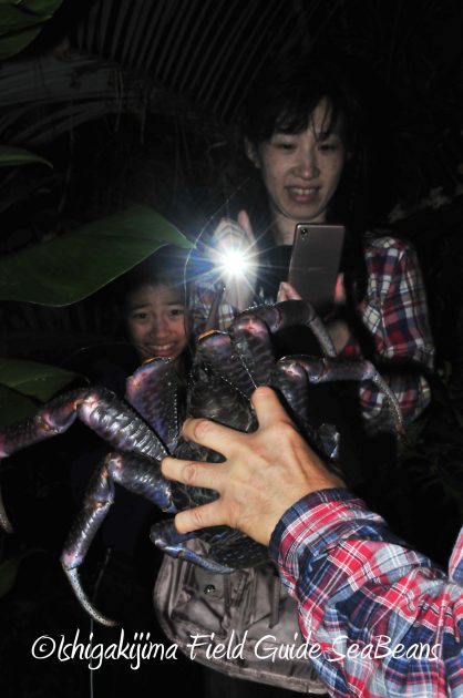 8月24日石垣島ナイトツアー13