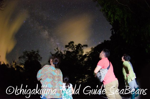 7月31日 石垣島ナイトツアー18