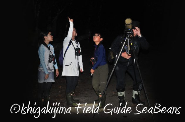 8月13日石垣島ナイトツアー18