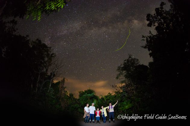 8月2日　石垣島ナイトツアー19
