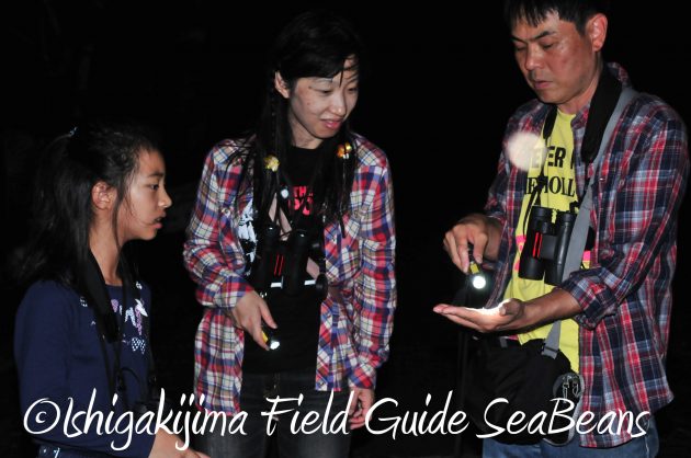 8月24日石垣島ナイトツアー9