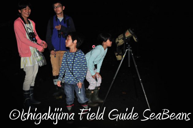 8.16石垣島ナイトツアー19