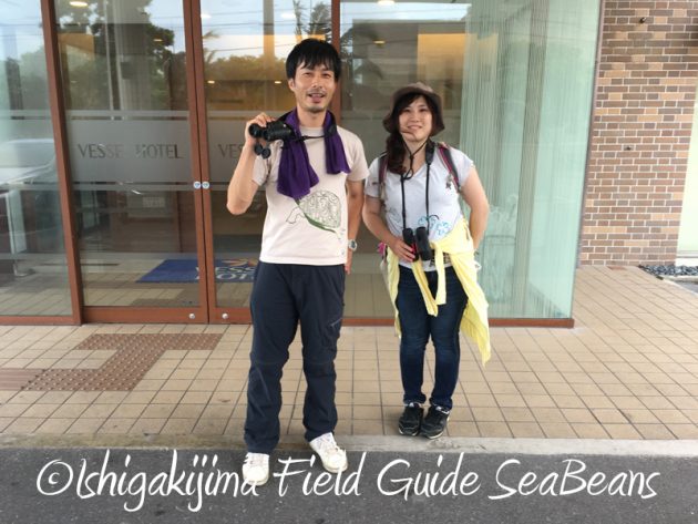 8月2日石垣島　バードウオッチング　野鳥撮影21