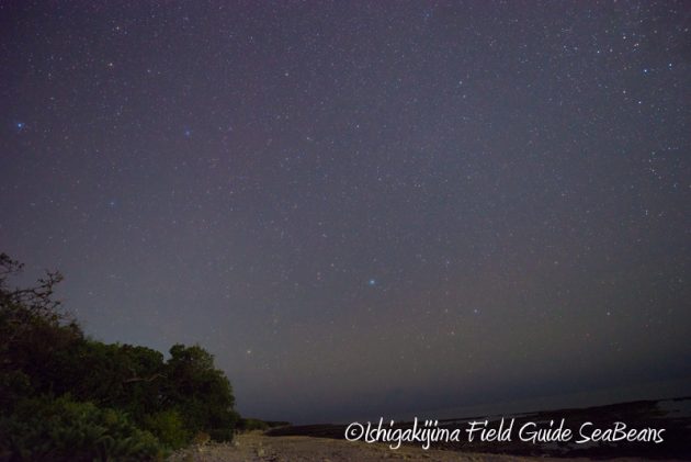 8月4日石垣島の星空3