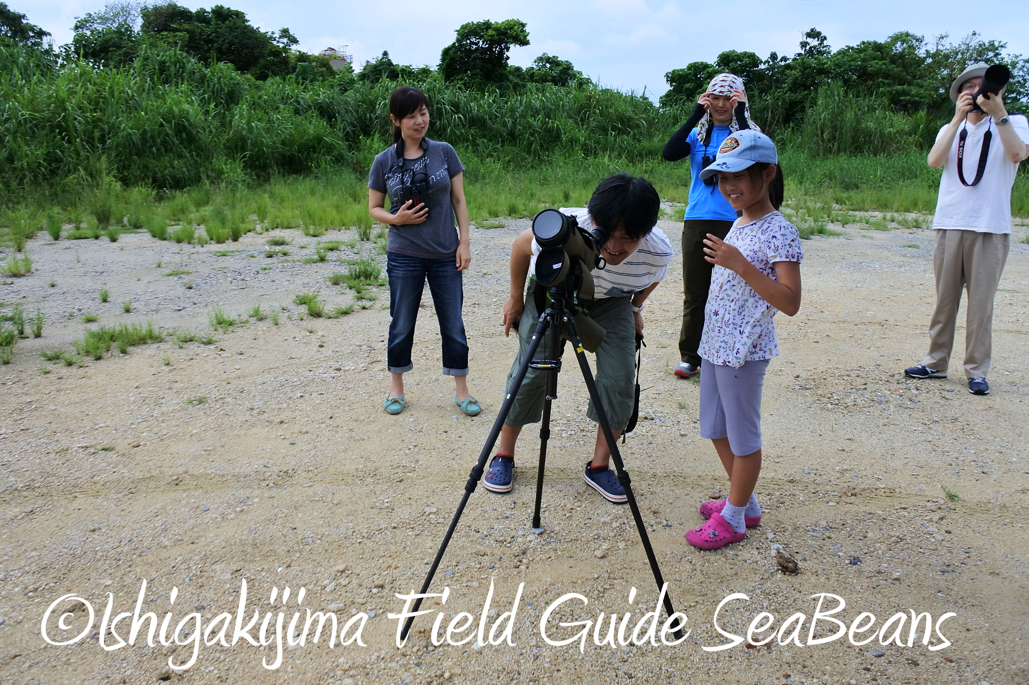 石垣島の野鳥とリュウキュウアカショウビンとカタグロトビ！！バードウオッチング＆野鳥撮影。