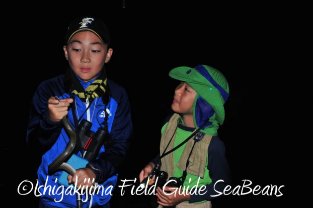 8月9日石垣島ナイトツアー5