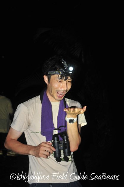 8月2日　石垣島ナイトツアー6