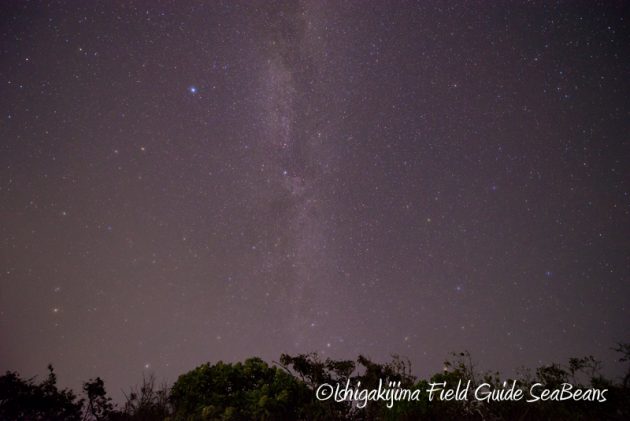 8月4日石垣島の星空2