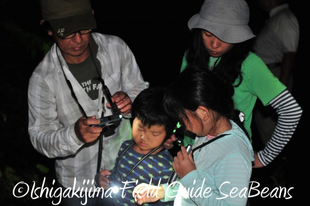 8.16石垣島ナイトツアー5