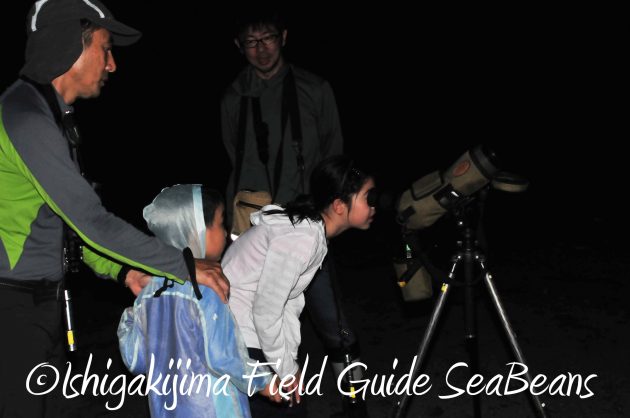 8月17日石垣島ナイトツアー19