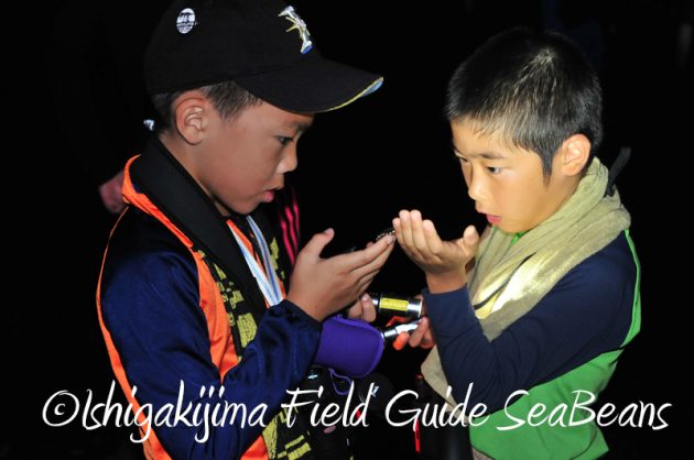 8月9日石垣島ナイトツアー15