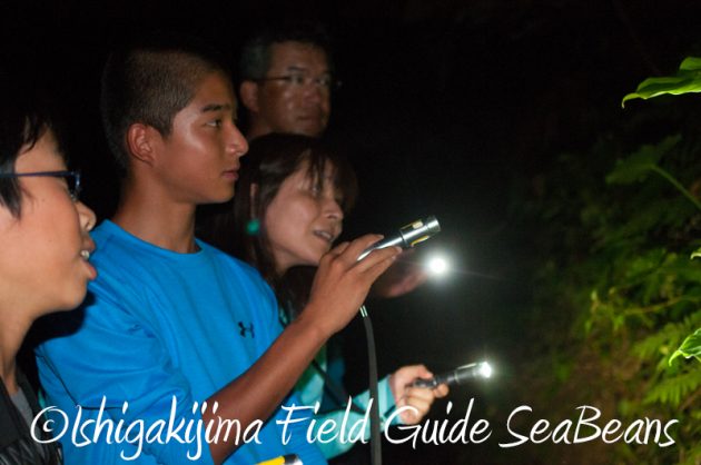 8月1日　石垣島ナイトツアー11