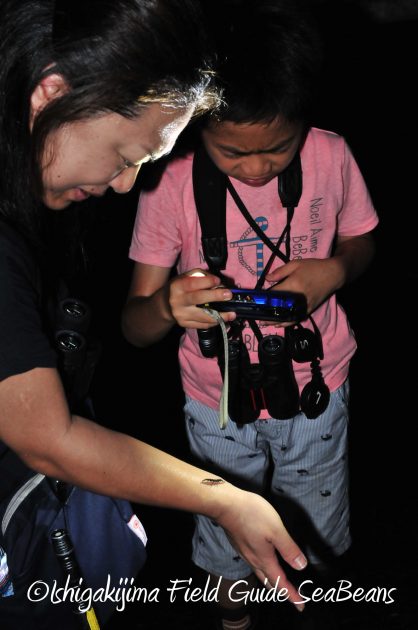 8月12日石垣島ナイトツアー7