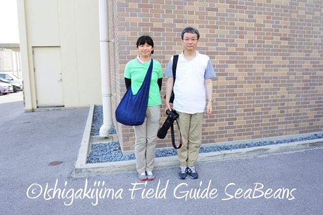 8月12日石垣島バードウオッチング＆野鳥撮影21