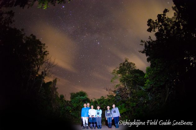 8月1日　石垣島ナイトツアー21