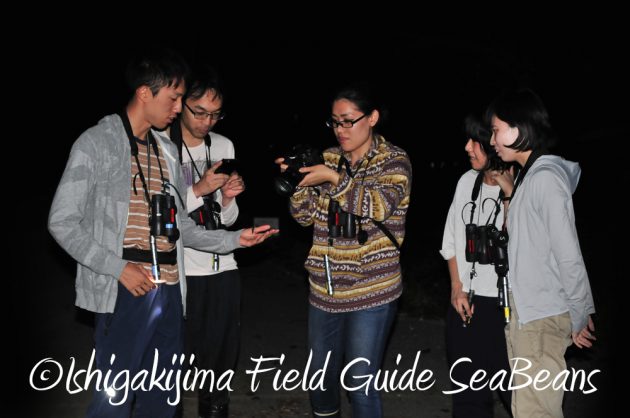 9%e6%9c%8819%e6%97%a5%e7%9f%b3%e5%9e%a3%e5%b3%b6%e3%83%8a%e3%82%a4%e3%83%88%e3%83%84%e3%82%a2%e3%83%bc11