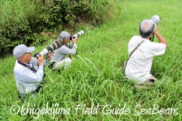 9%e6%9c%889%e6%97%a5%e7%9f%b3%e5%9e%a3%e5%b3%b6%e3%83%90%e3%83%bc%e3%83%89%e3%82%a6%e3%82%aa%e3%83%83%e3%83%81%e3%83%b3%e3%82%b0%ef%bc%86%e9%87%8e%e9%b3%a5%e6%92%ae%e5%bd%b1%e3%82%ac%e3%82%a4%e3%83%89