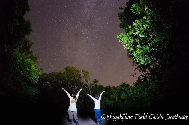 9月1日石垣島ナイトツアー15