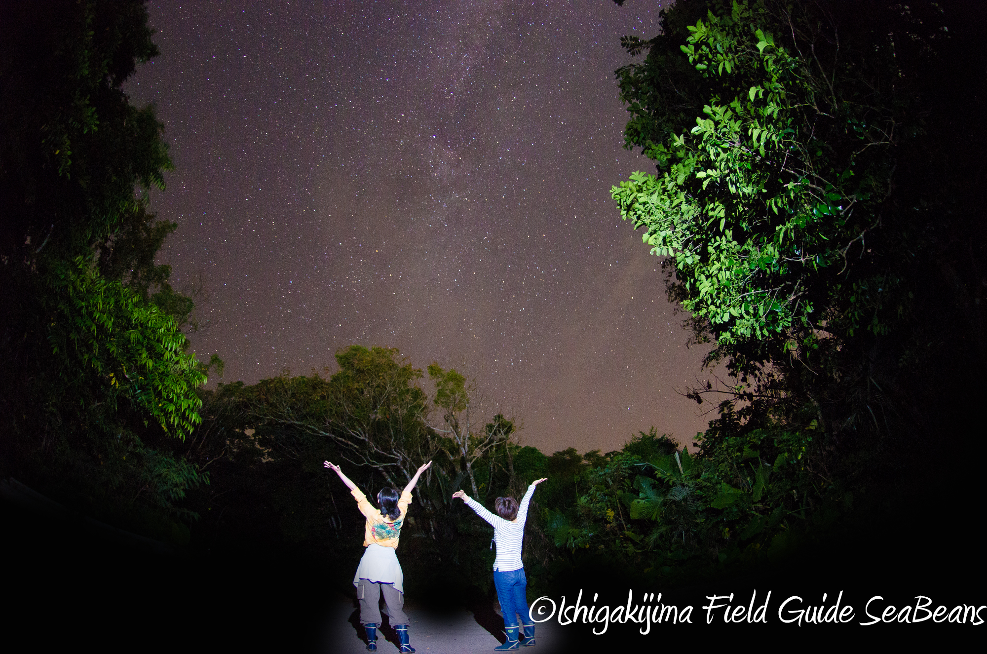 石垣島の夜は星も出会いも沢山！！ナイトツアー。