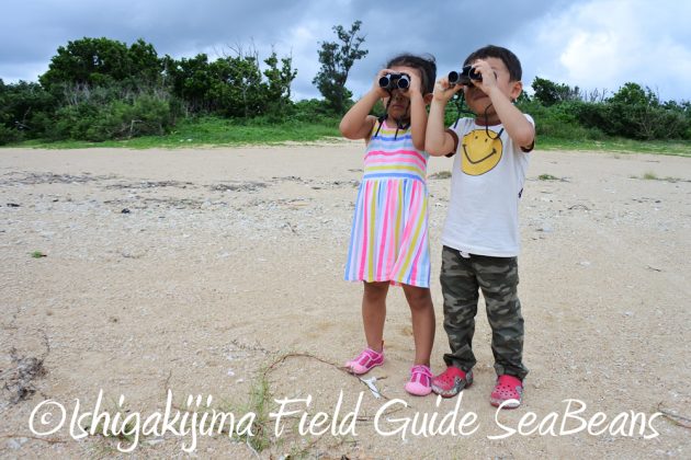 9%e6%9c%888%e6%97%a5%e3%83%90%e3%83%bc%e3%83%89%e3%82%a6%e3%82%aa%e3%83%83%e3%83%81%e3%83%b3%e3%82%b0%e4%b8%ad%e3%81%ae%e4%ba%8c%e4%ba%ba%e3%81%ae%e5%ad%90%e4%be%9b