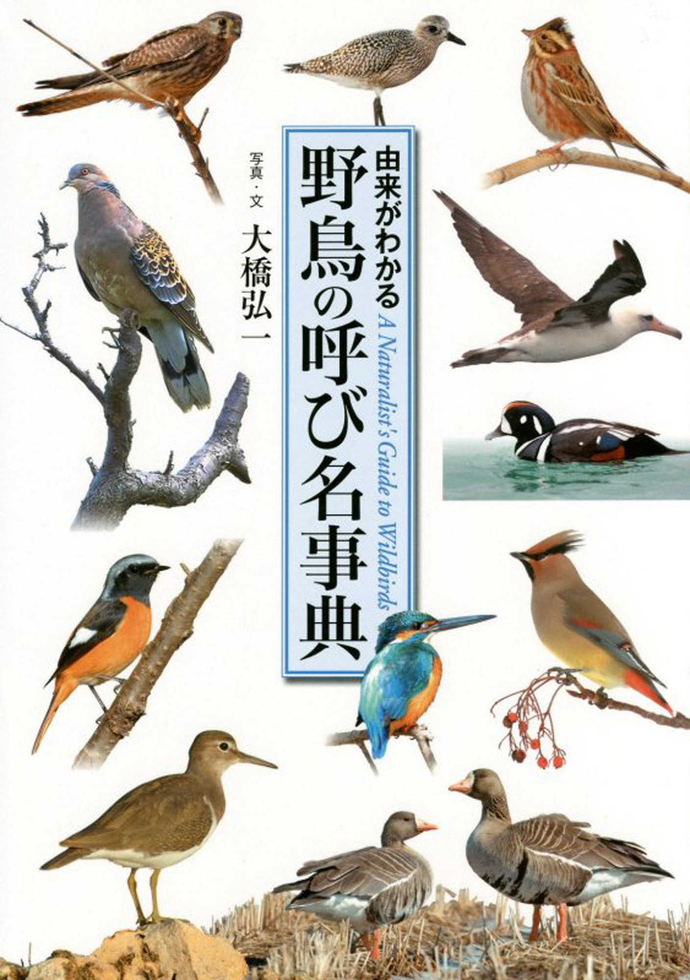 野鳥の呼び名事典　世界文化社　