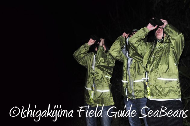 9%e6%9c%8822%e6%97%a5%e7%9f%b3%e5%9e%a3%e5%b3%b6%e3%83%8a%e3%82%a4%e3%83%88%e3%83%84%e3%82%a2%e3%83%bc15