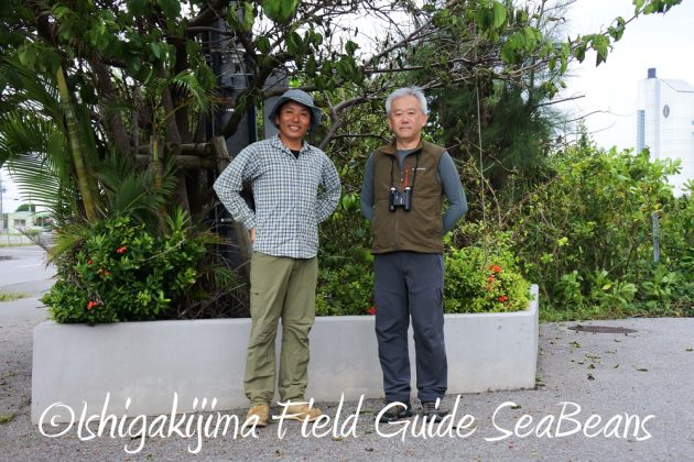 9%e6%9c%8819%e6%97%a5%e7%9f%b3%e5%9e%a3%e5%b3%b6%e3%83%90%e3%83%bc%e3%83%89%e3%82%a6%e3%82%aa%e3%83%83%e3%83%81%e3%83%b3%e3%82%b0%ef%bc%86%e9%87%8e%e9%b3%a5%e6%92%ae%e5%bd%b1%e3%82%ac%e3%82%a4