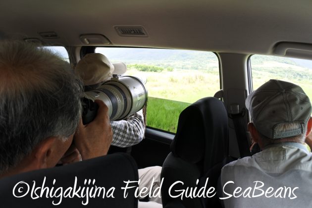 9%e6%9c%8810%e6%97%a5%e7%9f%b3%e5%9e%a3%e5%b3%b6%e3%83%90%e3%83%bc%e3%83%89%e3%82%a6%e3%82%aa%e3%83%83%e3%83%81%e3%83%b3%e3%82%b0%ef%bc%86%e9%87%8e%e9%b3%a5%e6%92%ae%e5%bd%b1%e3%82%ac%e3%82%a4