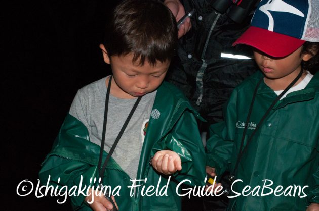 9%e6%9c%889%e6%97%a5%e7%9f%b3%e5%9e%a3%e5%b3%b6%e3%83%8a%e3%82%a4%e3%83%88%e3%83%84%e3%82%a2%e3%83%bc6