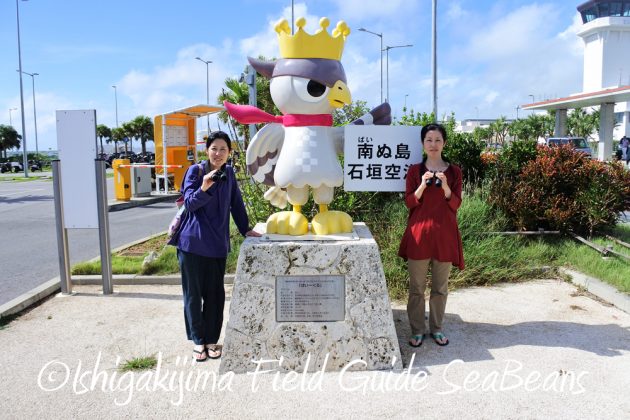 10%e6%9c%8817%e6%97%a5%e7%9f%b3%e5%9e%a3%e5%b3%b6%e3%83%90%e3%83%bc%e3%83%89%e3%82%a6%e3%82%aa%e3%83%83%e3%83%81%e3%83%b3%e3%82%b0%e3%82%ac%e3%82%a4%e3%83%8919