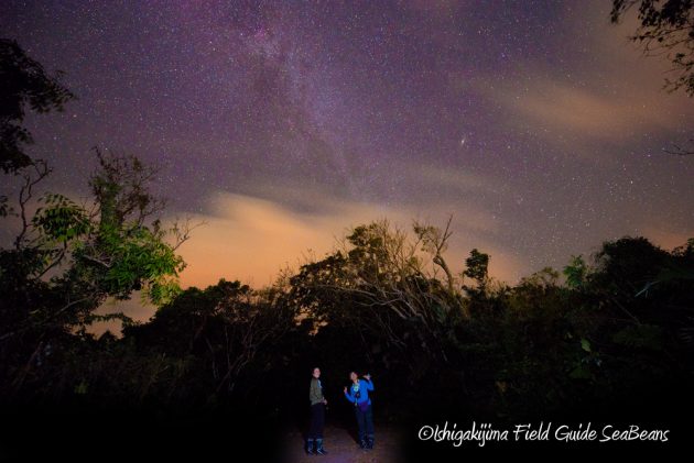 10%e6%9c%881%e6%97%a5%e7%9f%b3%e5%9e%a3%e5%b3%b6%e3%83%8a%e3%82%a4%e3%83%88%e3%83%84%e3%82%a2%e3%83%bc23