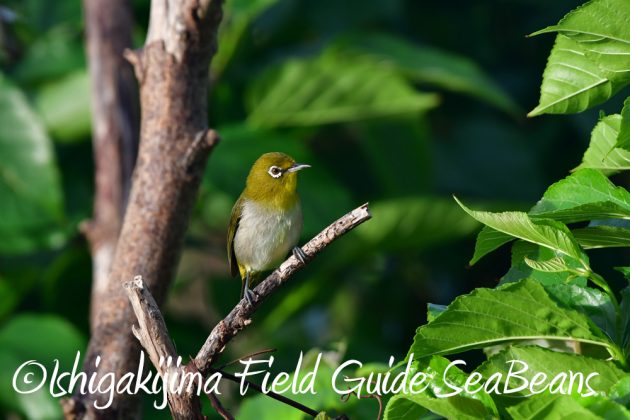 10%e6%9c%8820%e6%97%a5%e9%b3%a5%e7%8d%a3%e4%bf%9d%e8%ad%b7%e5%8c%ba%e5%9f%9f%e5%b7%a1%e5%9b%9e%e8%aa%bf%e6%9f%bb8