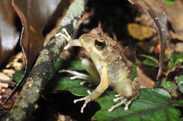 10%e6%9c%886%e6%97%a5%e7%9f%b3%e5%9e%a3%e5%b3%b6%e3%83%8a%e3%82%a4%e3%83%88%e3%83%84%e3%82%a2%e3%83%bc5