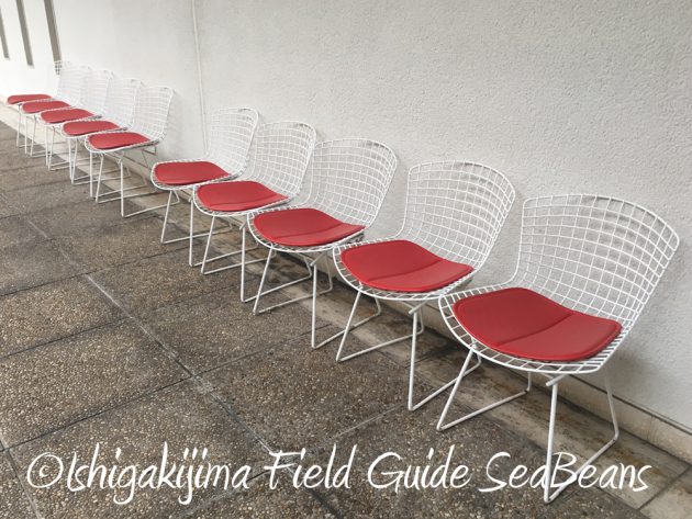 10-28%e5%ba%83%e5%b3%b6%e7%9c%8c%e3%83%90%e3%83%bc%e3%83%89%e3%82%a6%e3%82%aa%e3%83%83%e3%83%81%e3%83%b3%e3%82%b0%ef%bc%86%e9%87%8e%e9%b3%a5%e8%a6%b3%e5%af%9f12