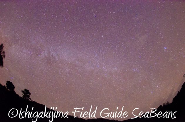 11%e6%9c%8814%e6%97%a5%e7%9f%b3%e5%9e%a3%e5%b3%b6%e3%83%8a%e3%82%a4%e3%83%88%e3%83%84%e3%82%a2%e3%83%bc11