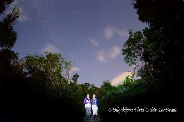 11%e6%9c%887%e6%97%a5%e7%9f%b3%e5%9e%a3%e5%b3%b6%e3%83%8a%e3%82%a4%e3%83%88%e3%83%84%e3%82%a2%e3%83%bc19